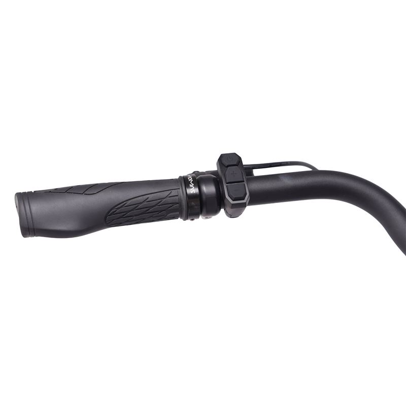 Momas Balance+ Belt drive